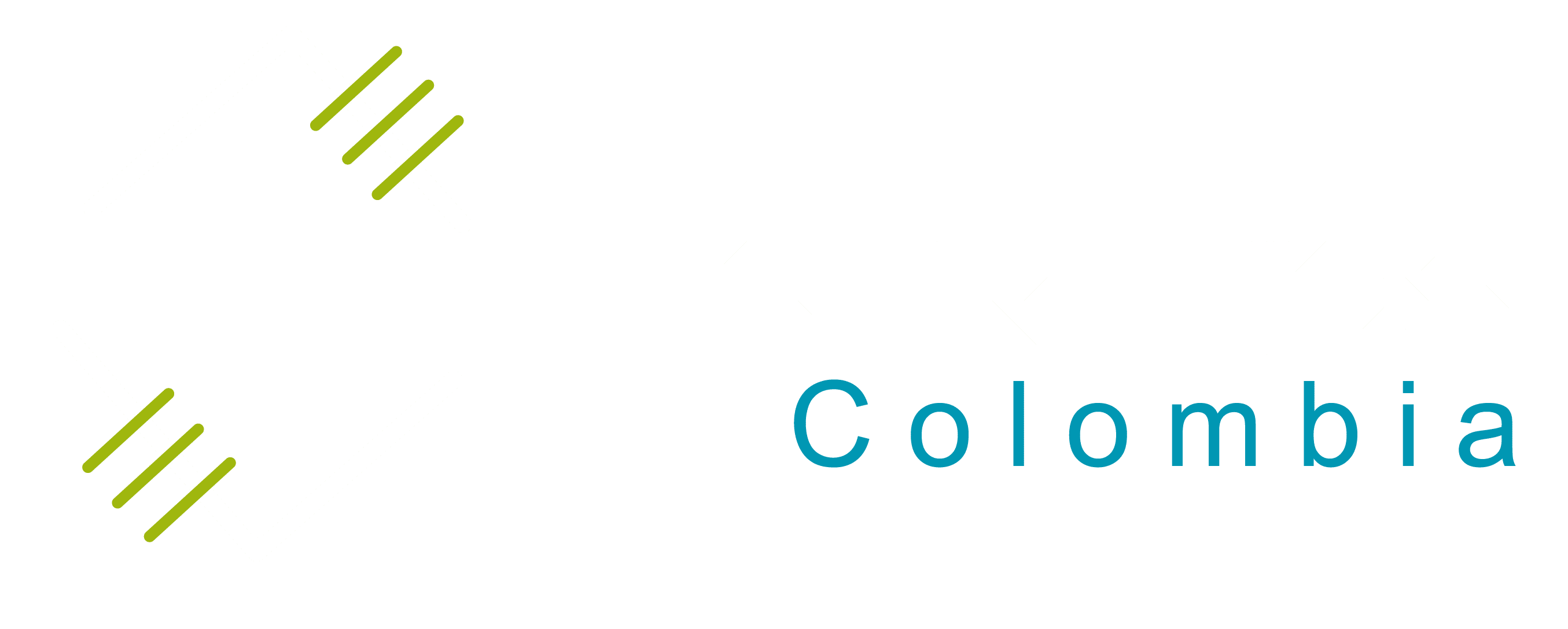 Distronics Colombia